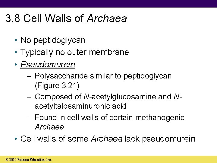 3. 8 Cell Walls of Archaea • No peptidoglycan • Typically no outer membrane