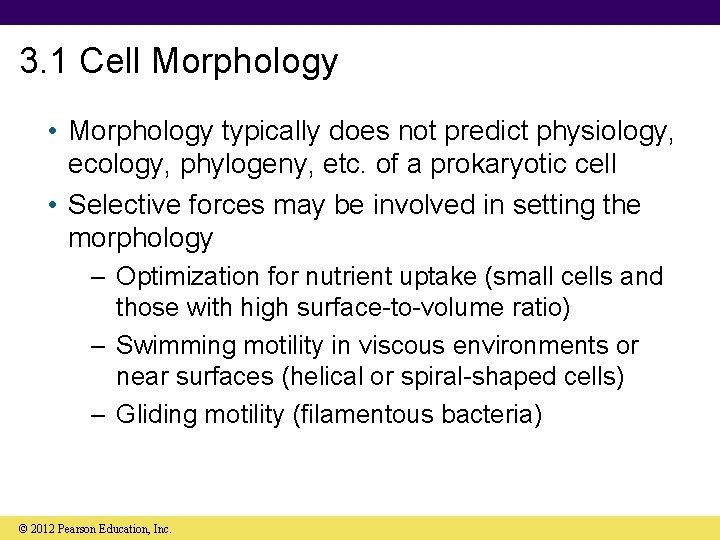 3. 1 Cell Morphology • Morphology typically does not predict physiology, ecology, phylogeny, etc.