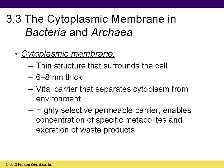 3. 3 The Cytoplasmic Membrane in Bacteria and Archaea • Cytoplasmic membrane: – Thin