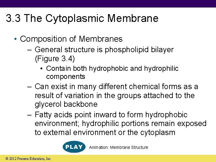 3. 3 The Cytoplasmic Membrane • Composition of Membranes – General structure is phospholipid