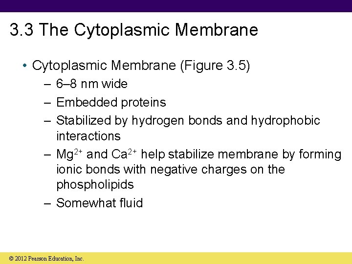 3. 3 The Cytoplasmic Membrane • Cytoplasmic Membrane (Figure 3. 5) – 6– 8