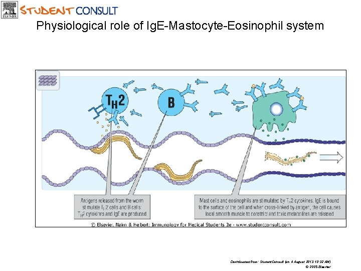 Physiological role of Ig. E-Mastocyte-Eosinophil system Downloaded from: Student. Consult (on 4 August 2013 Physiological role of Ig. E-Mastocyte-Eosinophil system Downloaded from: Student. Consult (on 4 August 2013