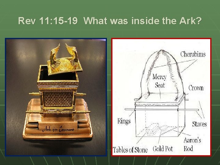 Rev 11: 15 -19 What was inside the Ark? Rev 11: 15 -19 What was inside the Ark?