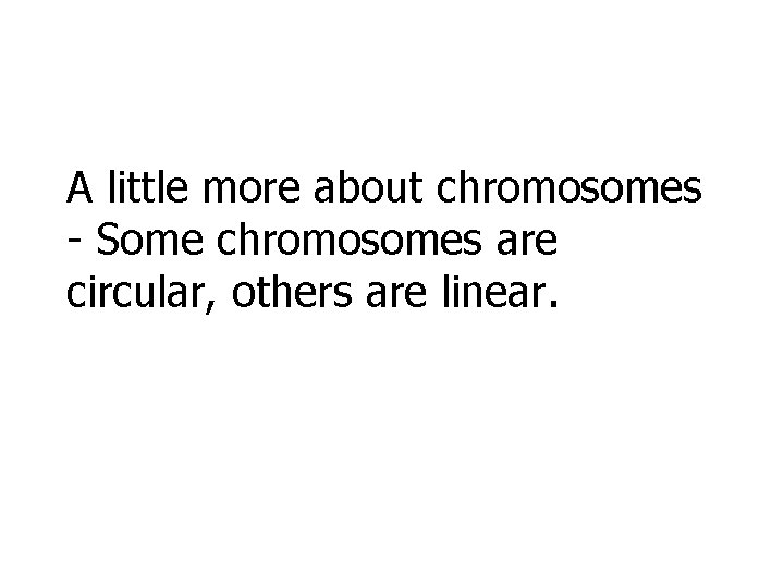 A little more about chromosomes - Some chromosomes are circular, others are linear. A little more about chromosomes - Some chromosomes are circular, others are linear.