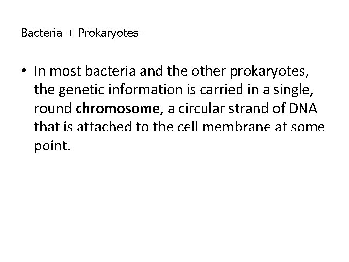 Bacteria + Prokaryotes - • In most bacteria and the other prokaryotes, the genetic Bacteria + Prokaryotes - • In most bacteria and the other prokaryotes, the genetic