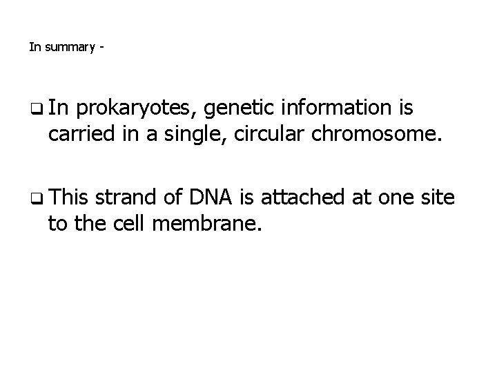 In summary - q In prokaryotes, genetic information is carried in a single, circular In summary - q In prokaryotes, genetic information is carried in a single, circular