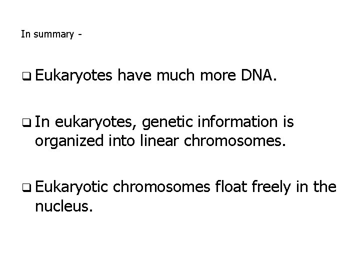 In summary - q Eukaryotes have much more DNA. q In eukaryotes, genetic information In summary - q Eukaryotes have much more DNA. q In eukaryotes, genetic information