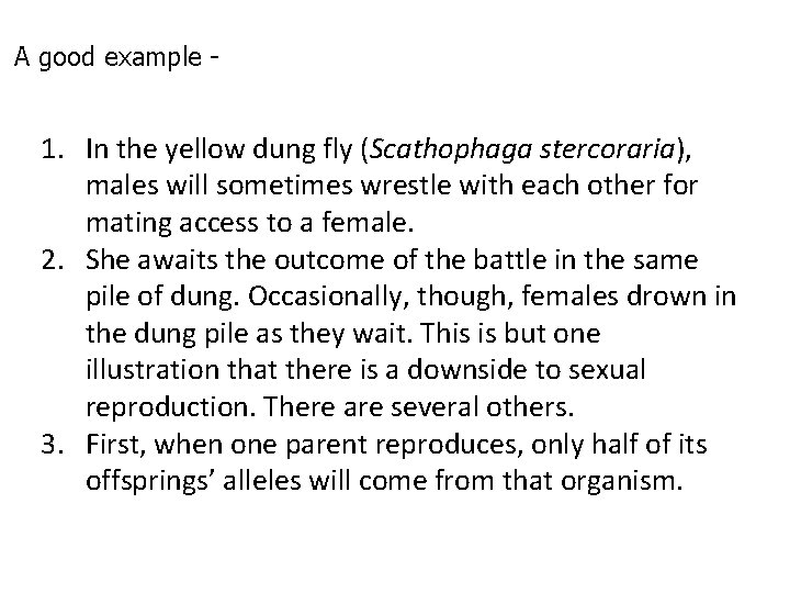 A good example - 1. In the yellow dung fly (Scathophaga stercoraria), males will A good example - 1. In the yellow dung fly (Scathophaga stercoraria), males will