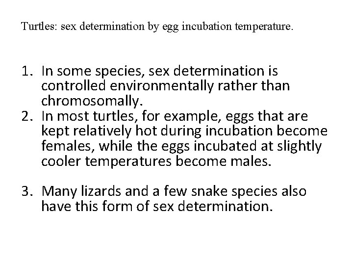 Turtles: sex determination by egg incubation temperature. 1. In some species, sex determination is Turtles: sex determination by egg incubation temperature. 1. In some species, sex determination is