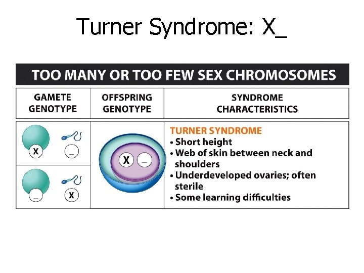 Turner Syndrome: X_ Turner Syndrome: X_