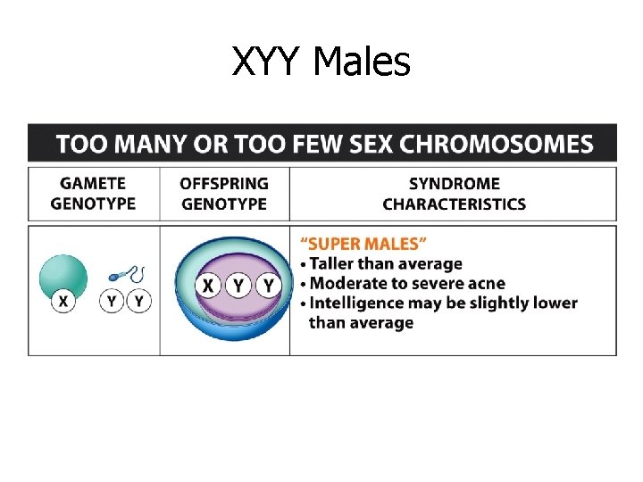 XYY Males XYY Males