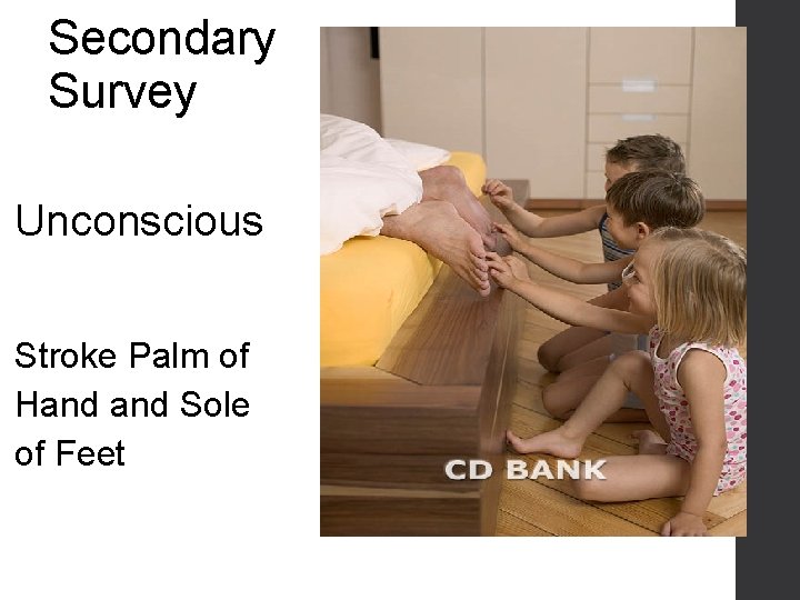 Secondary Survey Unconscious Stroke Palm of Hand Sole of Feet 