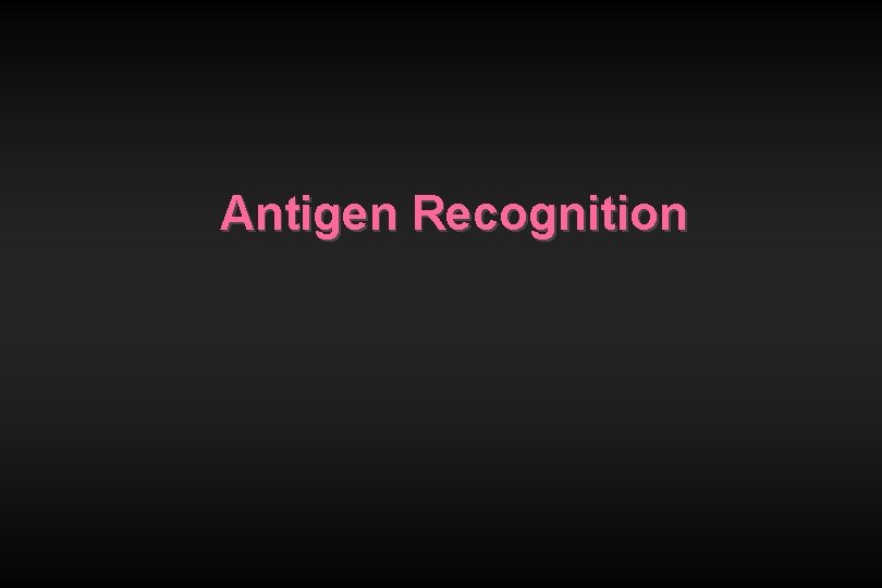 Antigen Recognition 