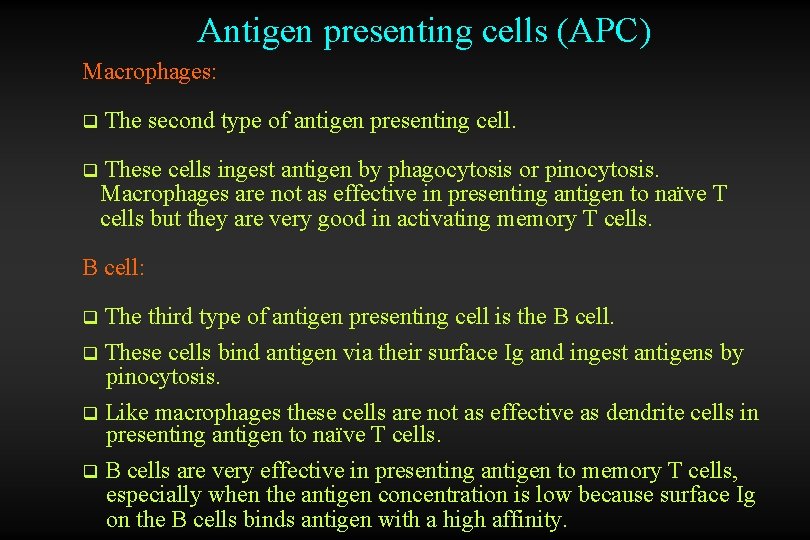 Antigen presenting cells (APC) Macrophages: q The second type of antigen presenting cell. q