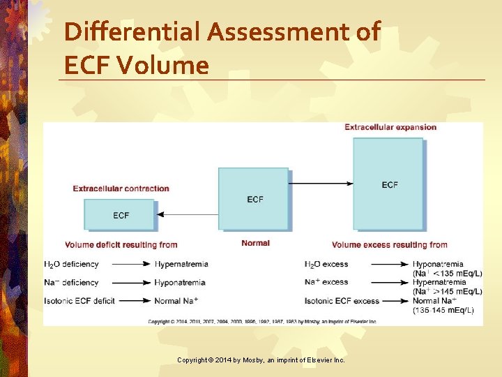 Differential Assessment of ECF Volume Copyright © 2014 by Mosby, an imprint of Elsevier