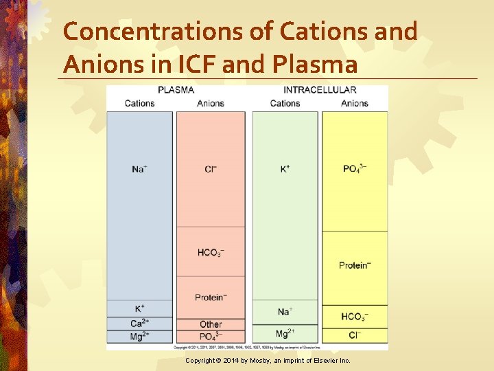 Concentrations of Cations and Anions in ICF and Plasma Copyright © 2014 by Mosby,