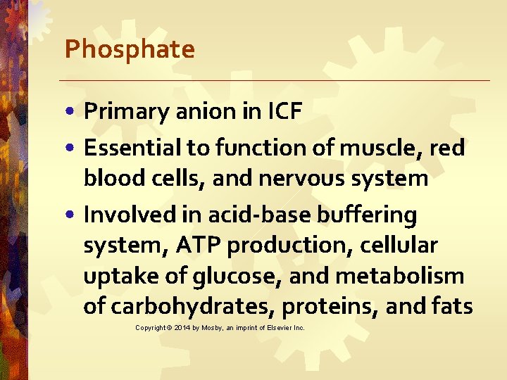 Phosphate • Primary anion in ICF • Essential to function of muscle, red blood