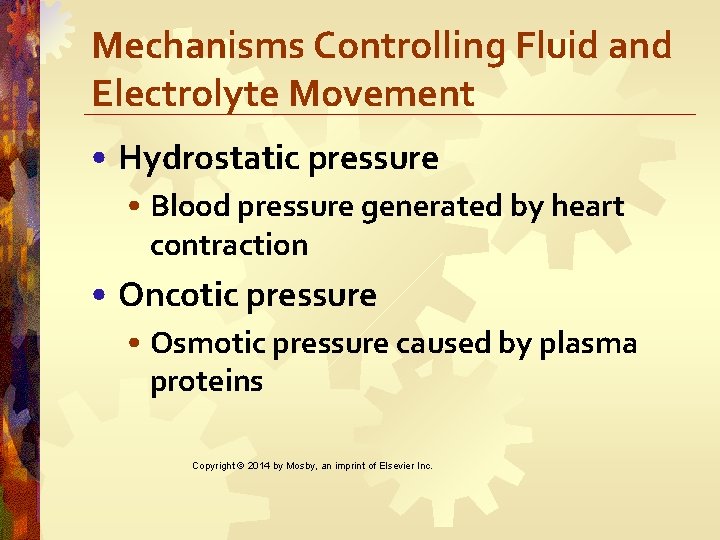 Mechanisms Controlling Fluid and Electrolyte Movement • Hydrostatic pressure • Blood pressure generated by