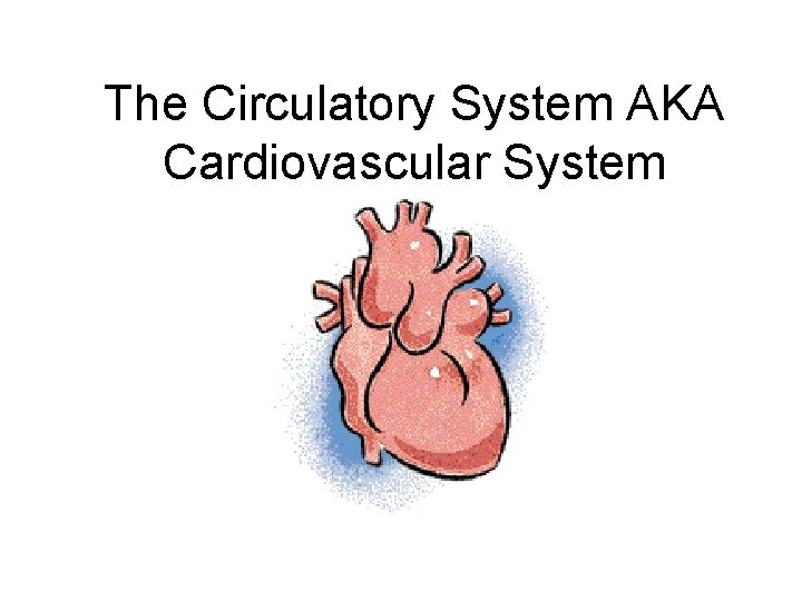 The Circulatory System AKA Cardiovascular System 