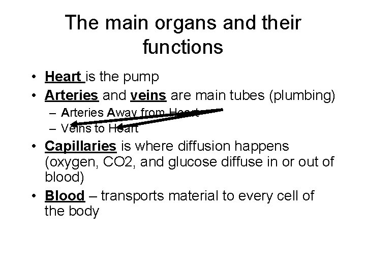 The main organs and their functions • Heart is the pump • Arteries and