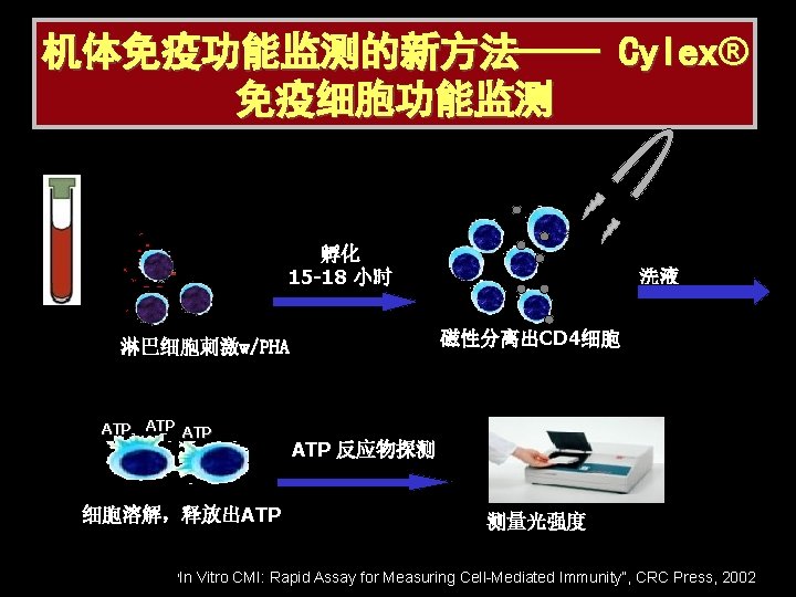 机体免疫功能监测的新方法—— Cylex® 免疫细胞功能监测 孵化 15 -18 小时 磁性分离出CD 4细胞 淋巴细胞刺激w/PHA ATP ATP 细胞溶解，释放出ATP “In