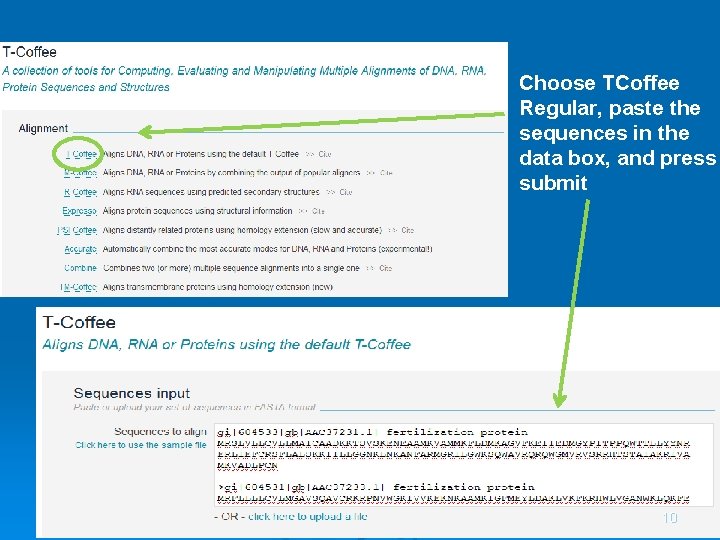 Choose TCoffee Regular, paste the sequences in the data box, and press submit 10