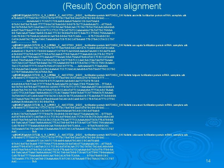 (Result) Codon alignment >gi|604533|gb|AAC 37231. 1|_G_L 36554 _S_ AAC 37231 _DESC_ fertilization protein MATCHES_ON