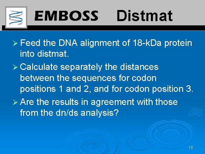 Distmat Ø Feed the DNA alignment of 18 -k. Da protein into distmat. Ø