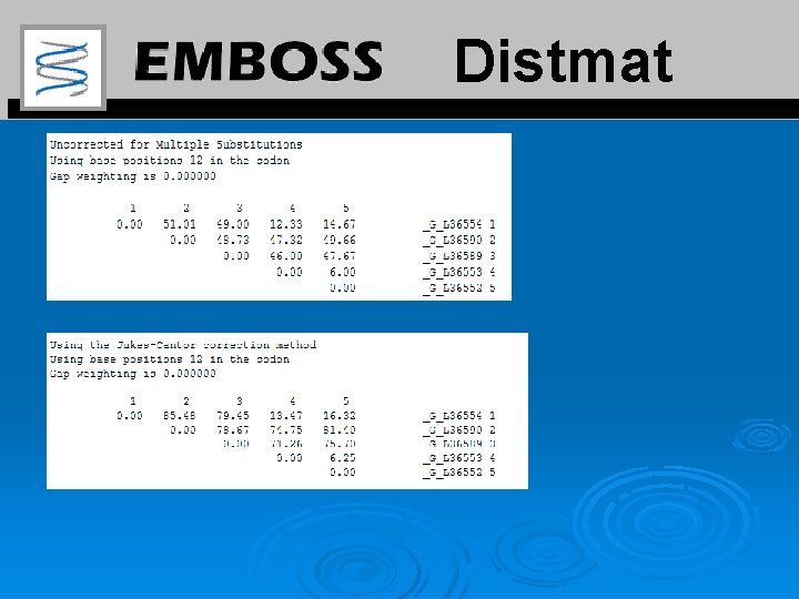 Distmat 