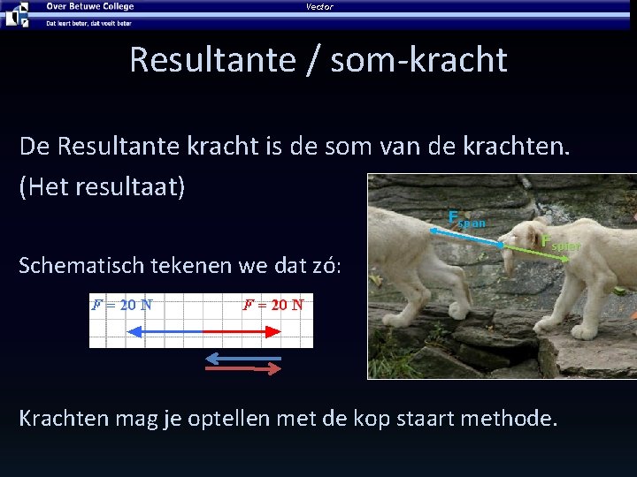 Vector Resultante / som-kracht De Resultante kracht is de som van de krachten. (Het