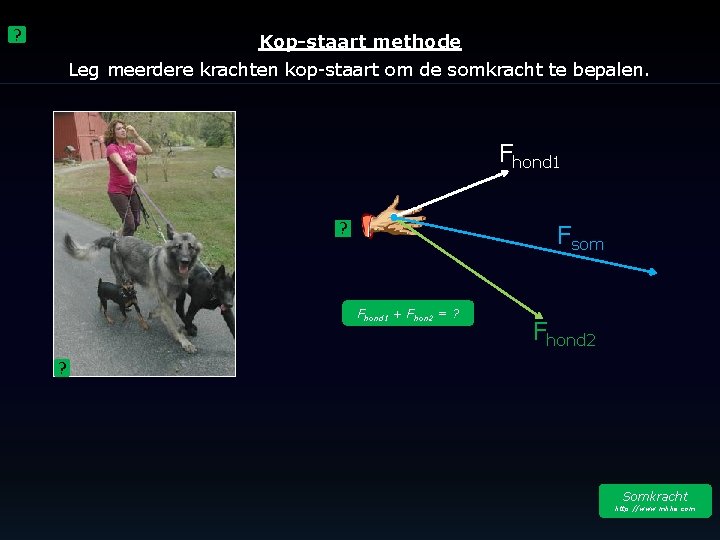 ? Kop-staart methode Leg meerdere krachten kop-staart om de somkracht te bepalen. Fhond 1