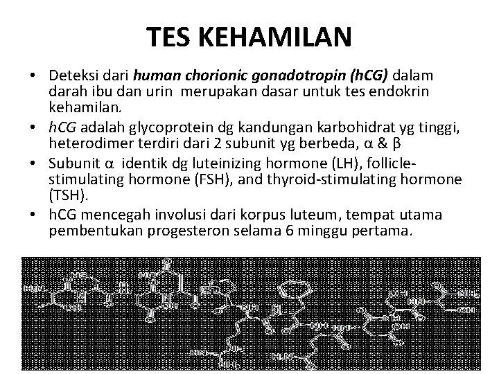 TES KEHAMILAN • Deteksi dari human chorionic gonadotropin (h. CG) dalam darah ibu dan