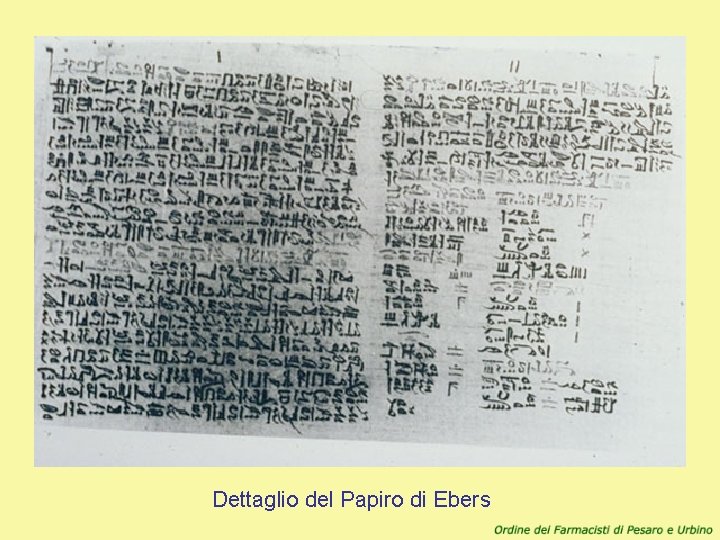 Dettaglio del Papiro di Ebers 