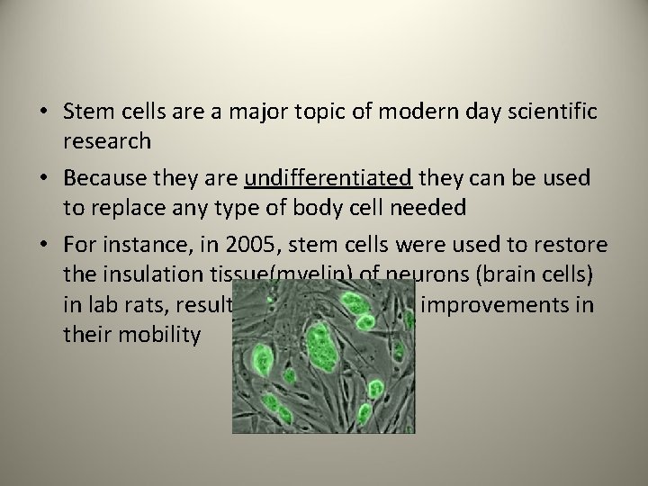  • Stem cells are a major topic of modern day scientific research •