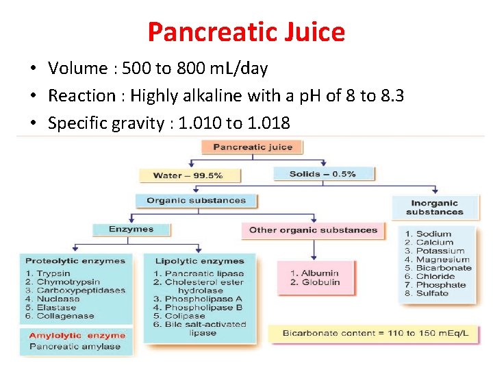 Pancreatic Juice • Volume : 500 to 800 m. L/day • Reaction : Highly