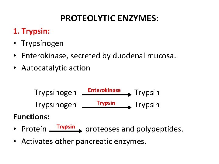 PROTEOLYTIC ENZYMES: 1. Trypsin: • Trypsinogen • Enterokinase, secreted by duodenal mucosa. • Autocatalytic