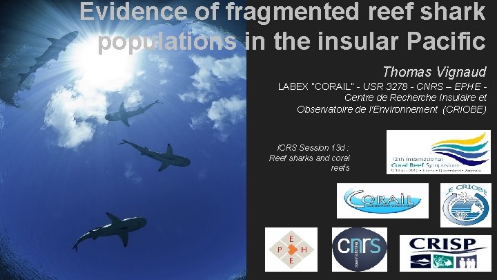 Evidence of fragmented reef shark populations in the insular Pacific Thomas Vignaud LABEX “CORAIL”