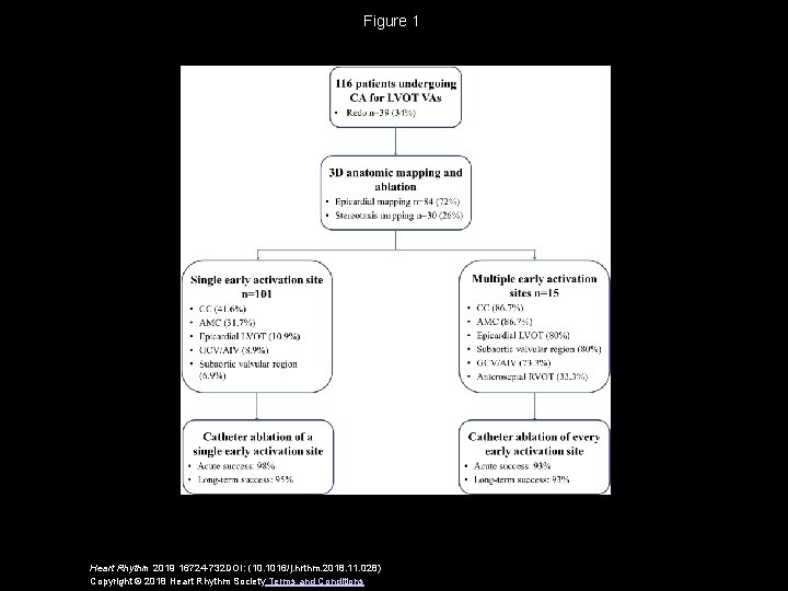 Figure 1 Heart Rhythm 2019 16724 -732 DOI: (10. 1016/j. hrthm. 2018. 11. 028)