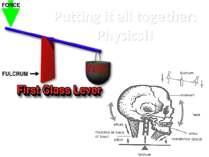 Putting it all together: Physics!! 
