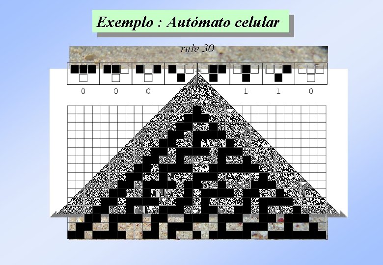 Exemplo Auto-organização : Autómato celular 