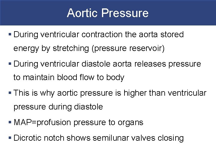 Aortic Pressure § During ventricular contraction the aorta stored energy by stretching (pressure reservoir)