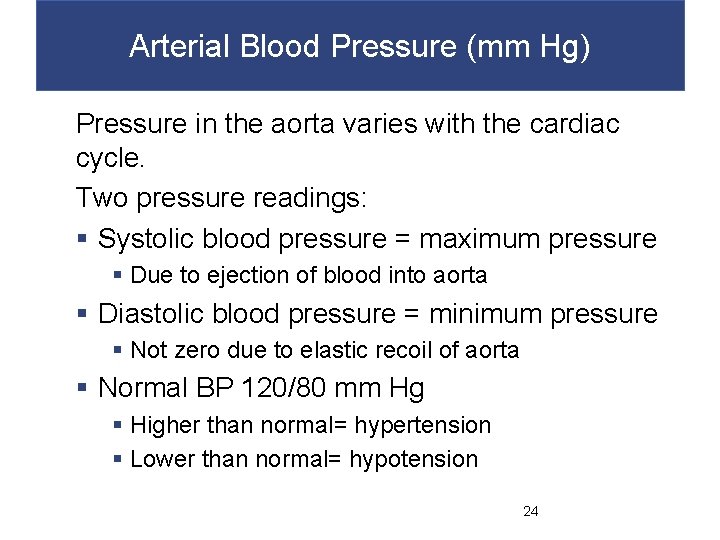 Arterial Blood Pressure (mm Hg) Pressure in the aorta varies with the cardiac cycle.