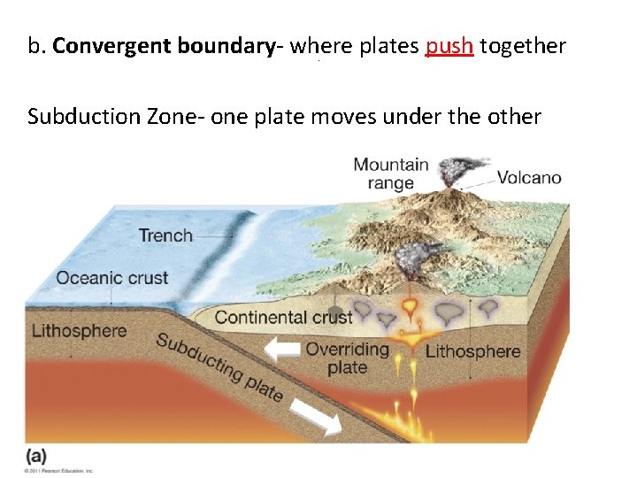 b. Convergent boundary- where plates push together. Subduction Zone- one plate moves under the