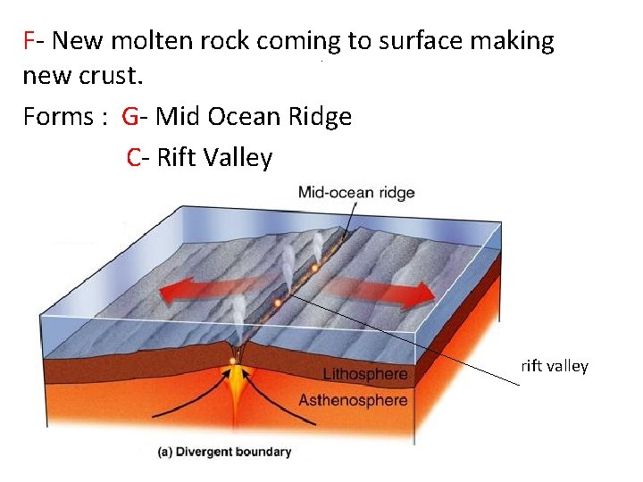 F- New molten rock coming to surface making new crust. Forms : G- Mid