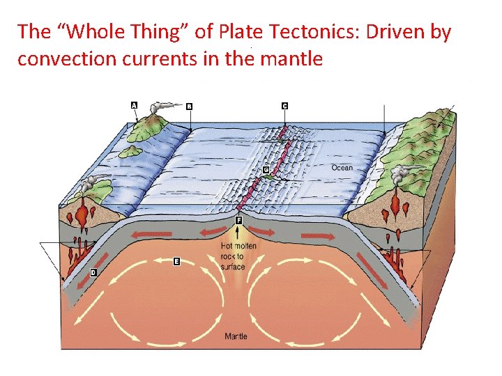 The “Whole Thing” of Plate Tectonics: Driven by convection currents in the mantle. 