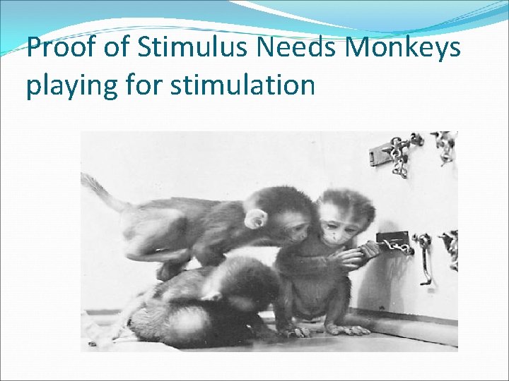 Proof of Stimulus Needs Monkeys playing for stimulation 