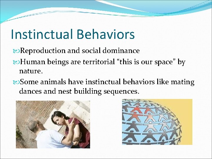 Instinctual Behaviors Reproduction and social dominance Human beings are territorial “this is our space”