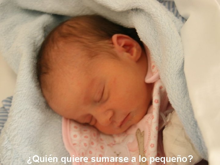 ¿Quién quiere sumarse a lo pequeño? 