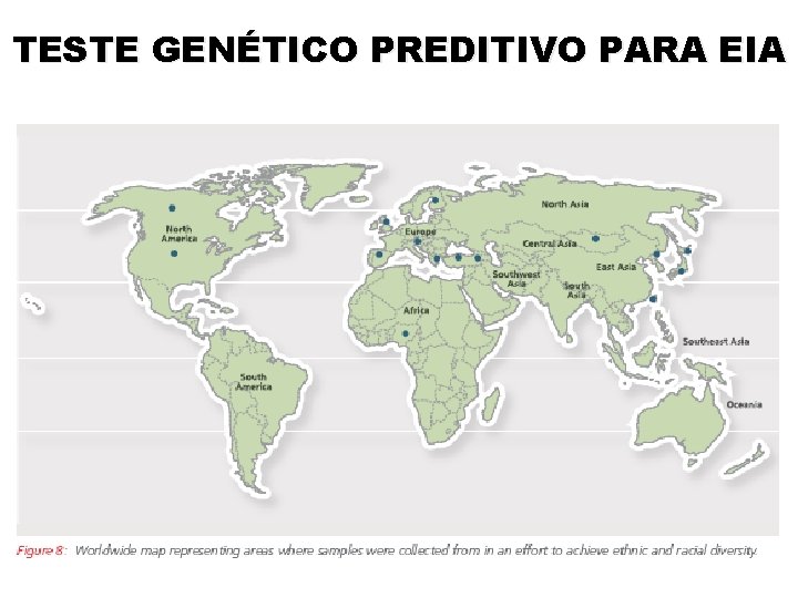 TESTE GENÉTICO PREDITIVO PARA EIA 