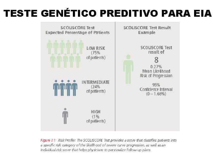 TESTE GENÉTICO PREDITIVO PARA EIA 